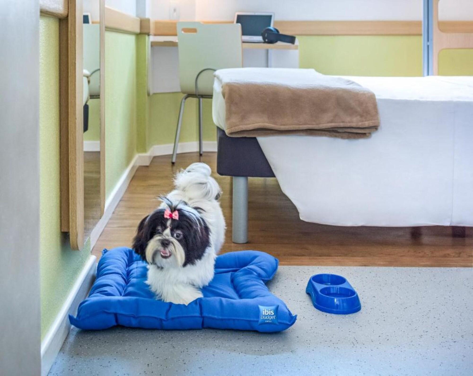 Ibis Budget Belo Horizonte Minascentro Zewnętrze zdjęcie
